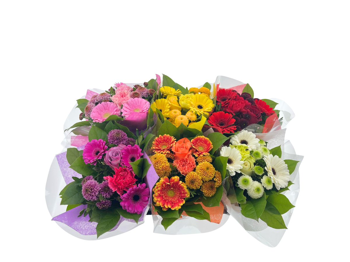 Срезанные цветы оптом BQ SHORTIES от 6шт из Голландии с доставкой по России