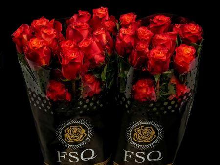 Срезанные цветы оптом Rosa ec atomic от 40шт из Голландии с доставкой по России