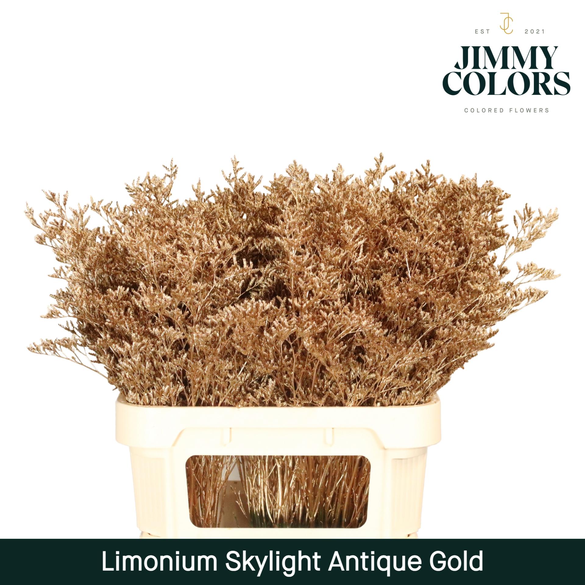 Срезанные цветы оптом Limonium paint antique gold от 75шт из Голландии с доставкой по России