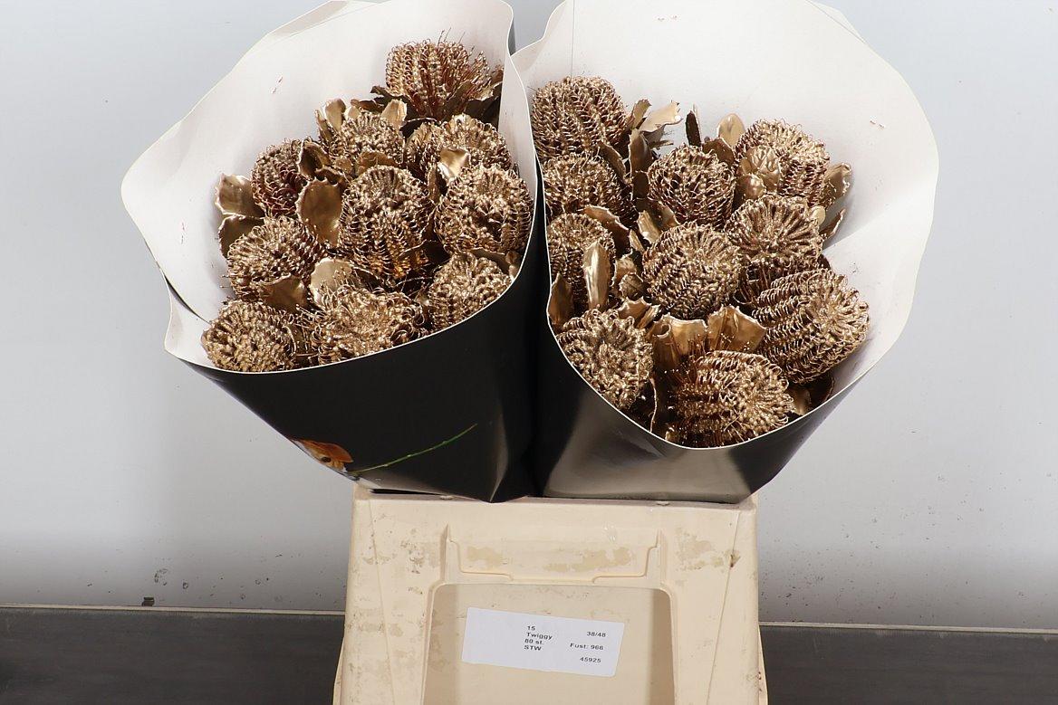 Срезанные цветы оптом Banksia wax gold от 20шт из Голландии с доставкой по России