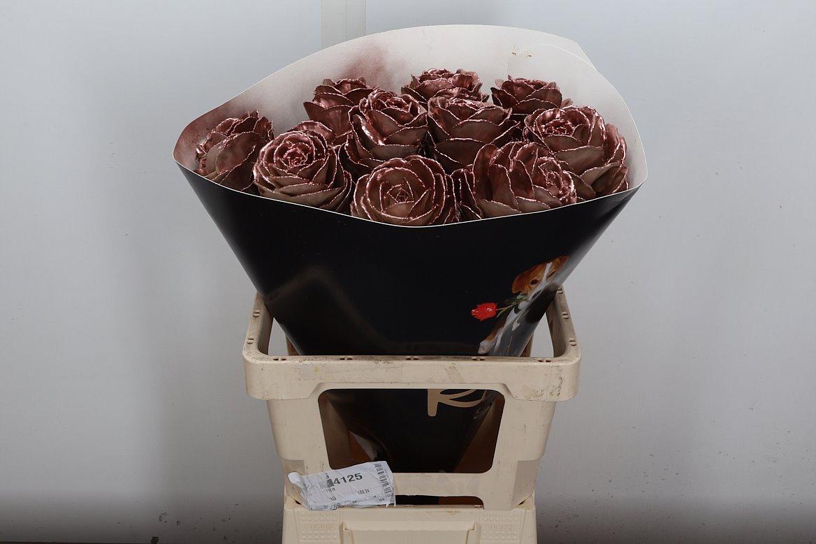 Срезанные цветы оптом Brassica wax copper от 10шт из Голландии с доставкой по России