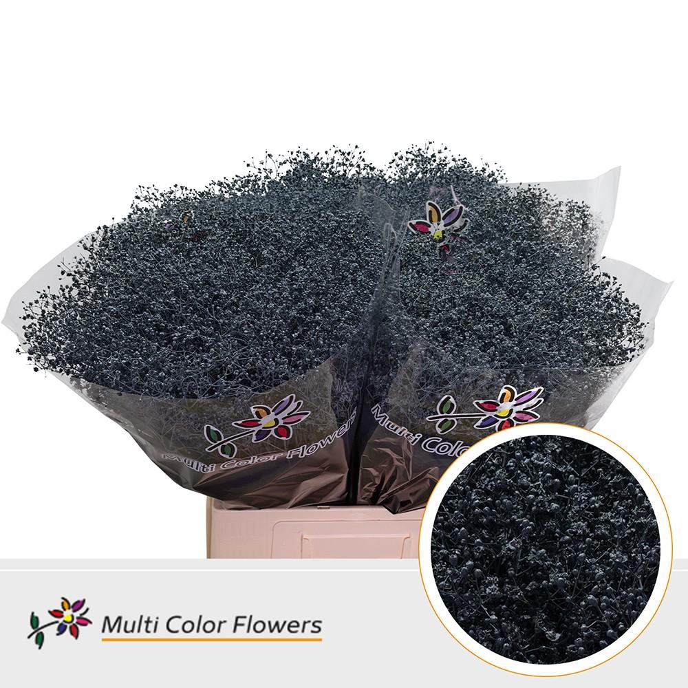 Срезанные цветы оптом Gyps fine paint grey от 100шт из Голландии с доставкой по России