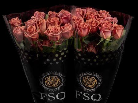 Срезанные цветы оптом Rosa ec barista от 40шт из Голландии с доставкой по России