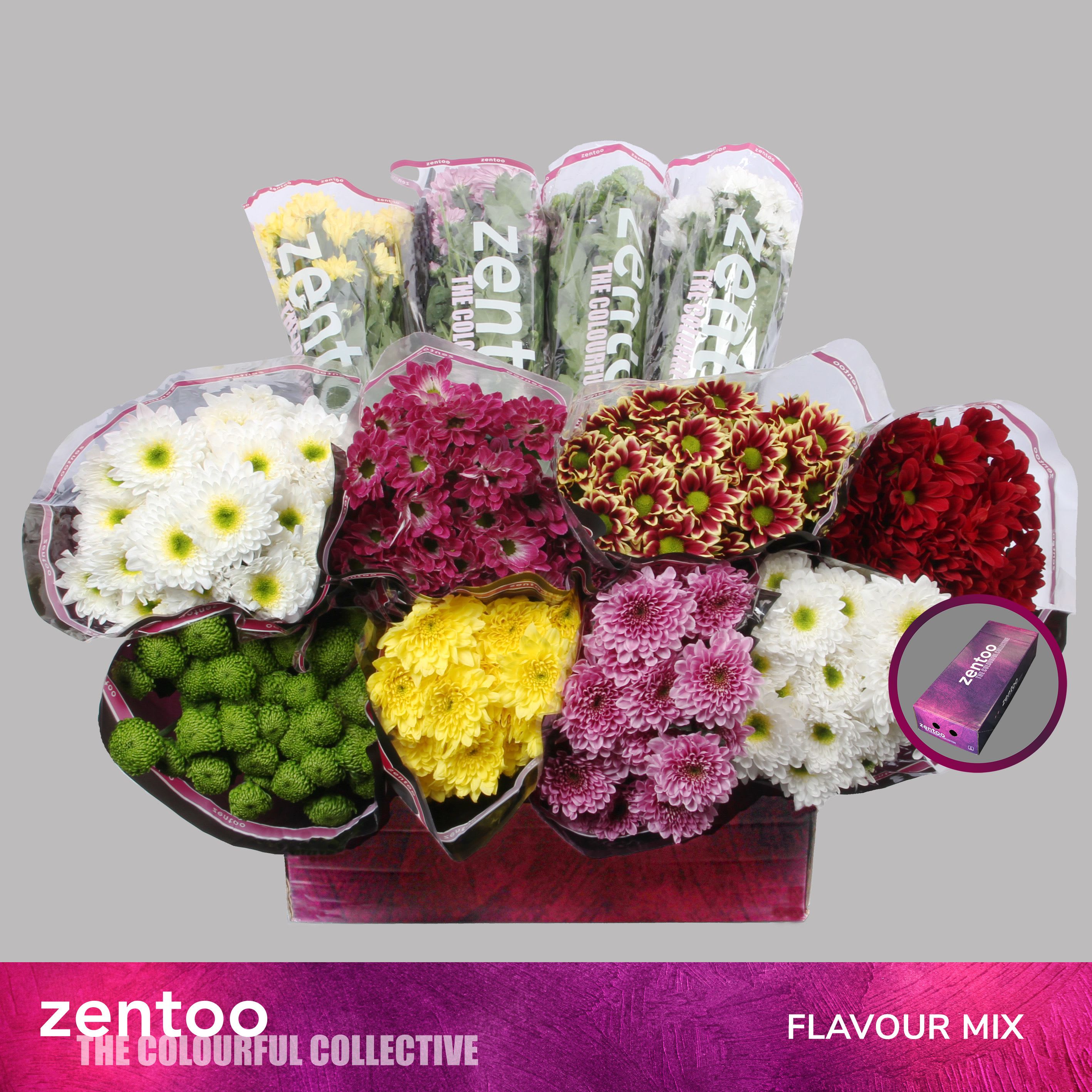 Срезанные цветы оптом Chrys sp mix flavour от 160шт из Голландии с доставкой по России