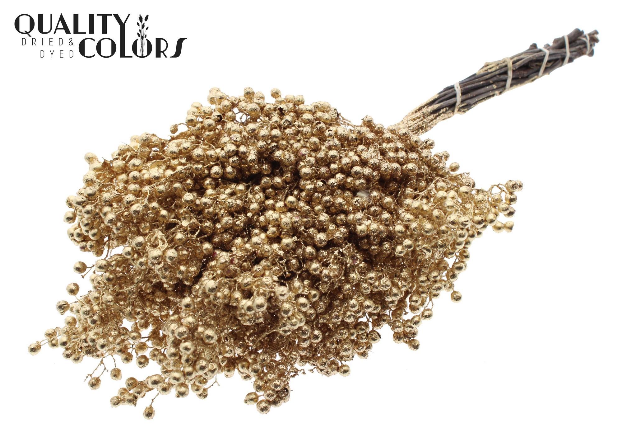 Срезанные цветы оптом Pepperberries per bunch in poly Antique Gold + Gli от 5шт из Голландии с доставкой по России