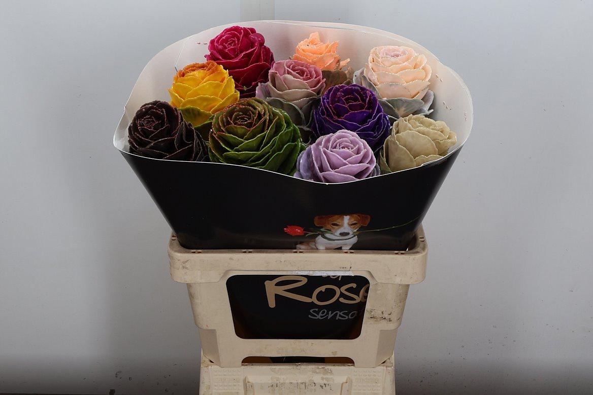 Срезанные цветы оптом Brassica wax mix от 10шт из Голландии с доставкой по России