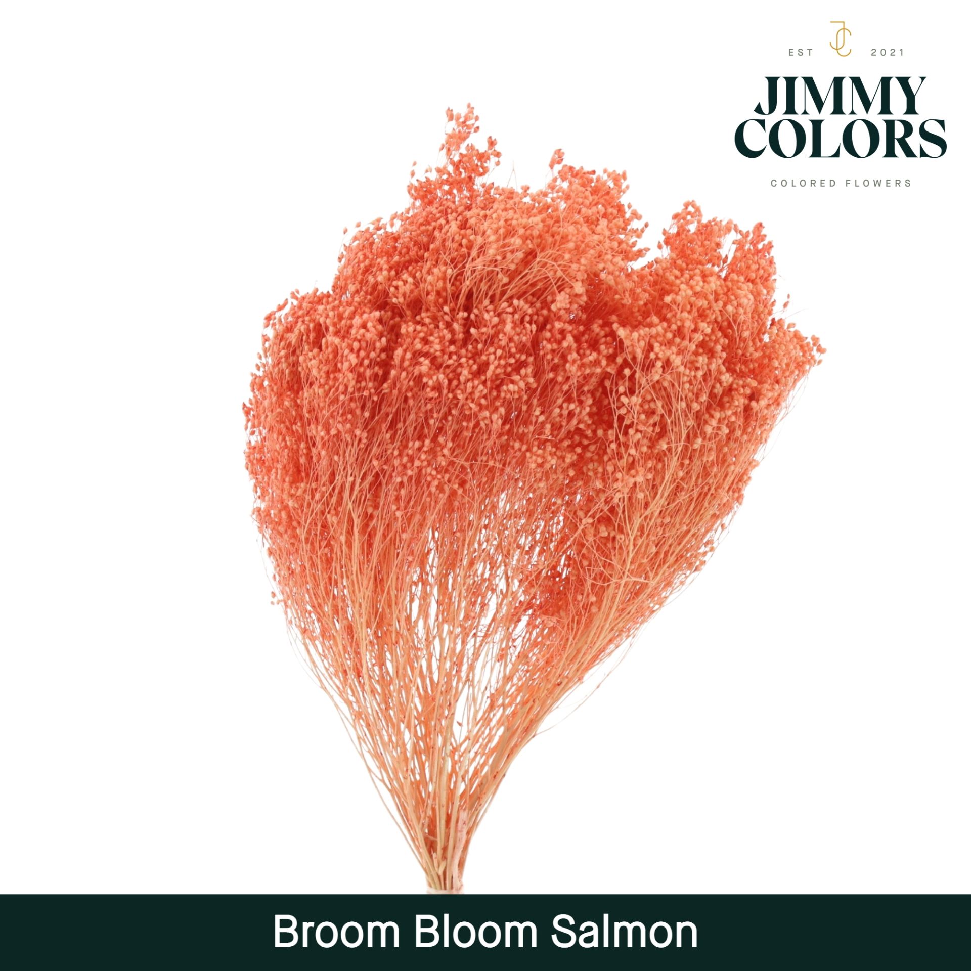 Срезанные цветы оптом Broom bloom paint coral от 5шт из Голландии с доставкой по России