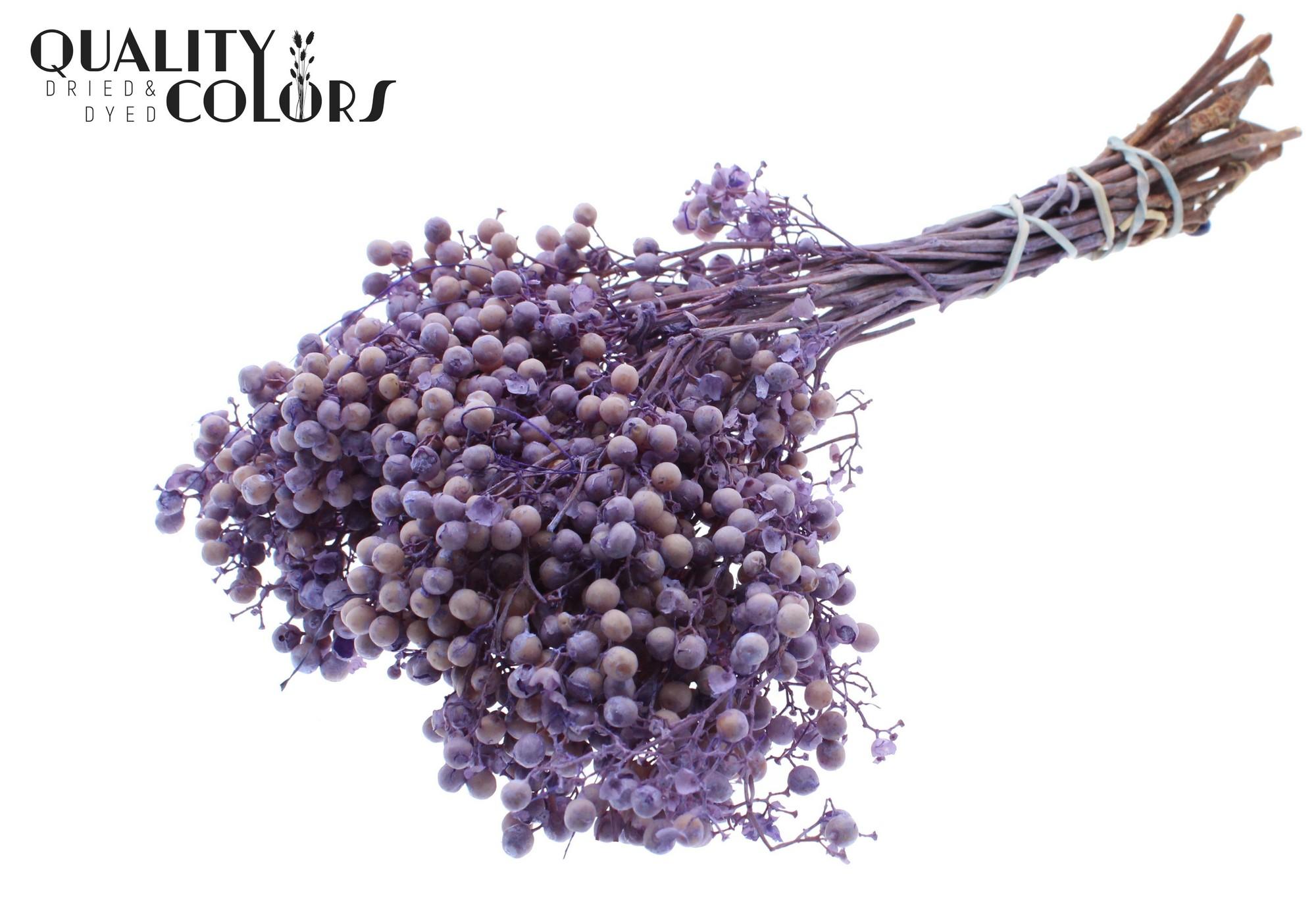 Срезанные цветы оптом Pepperberries per bunch in poly Frosted Milka от 5шт из Голландии с доставкой по России