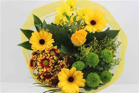 Срезанные цветы оптом Bouquet st yellow 4 от 5шт из Голландии с доставкой по России
