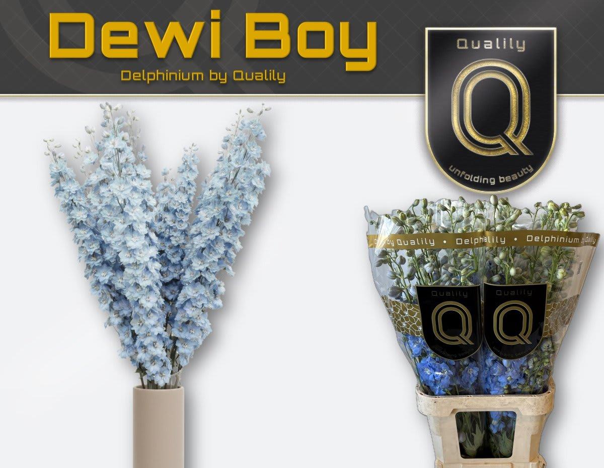 Срезанные цветы оптом Delphinium el dewi boy от 40шт из Голландии с доставкой по России