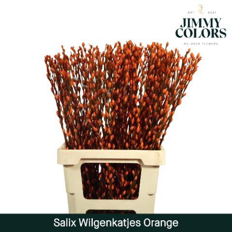 Срезанные цветы оптом Salix paint pussy willow orange от 50шт из Голландии с доставкой по России