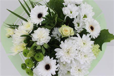 Срезанные цветы оптом Bouquet 15 stem white от 8шт из Голландии с доставкой по России