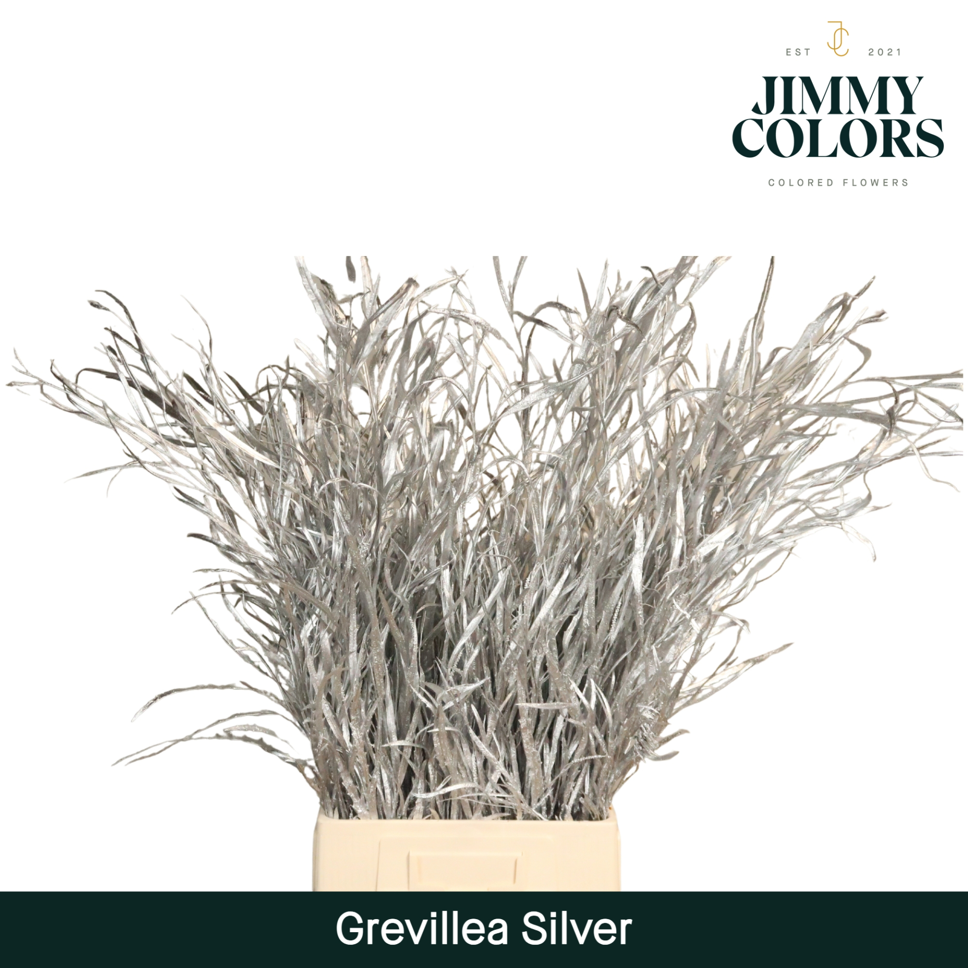 Срезанные цветы оптом Grevillea paint silver от 10шт из Голландии с доставкой по России
