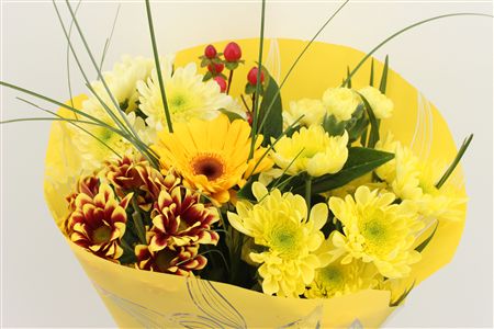 Срезанные цветы оптом Bouquet micro yellow от 10шт из Голландии с доставкой по России