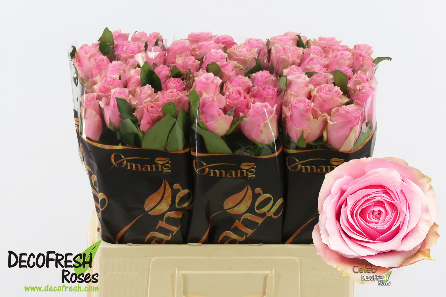 Срезанные цветы оптом Rosa large celeb от 60шт из Голландии с доставкой по России