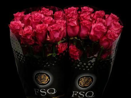 Срезанные цветы оптом Rosa ec lola от 25шт из Голландии с доставкой по России