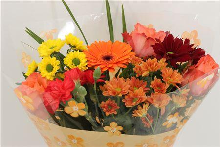 Срезанные цветы оптом Bouquet rosa small orange от 10шт из Голландии с доставкой по России