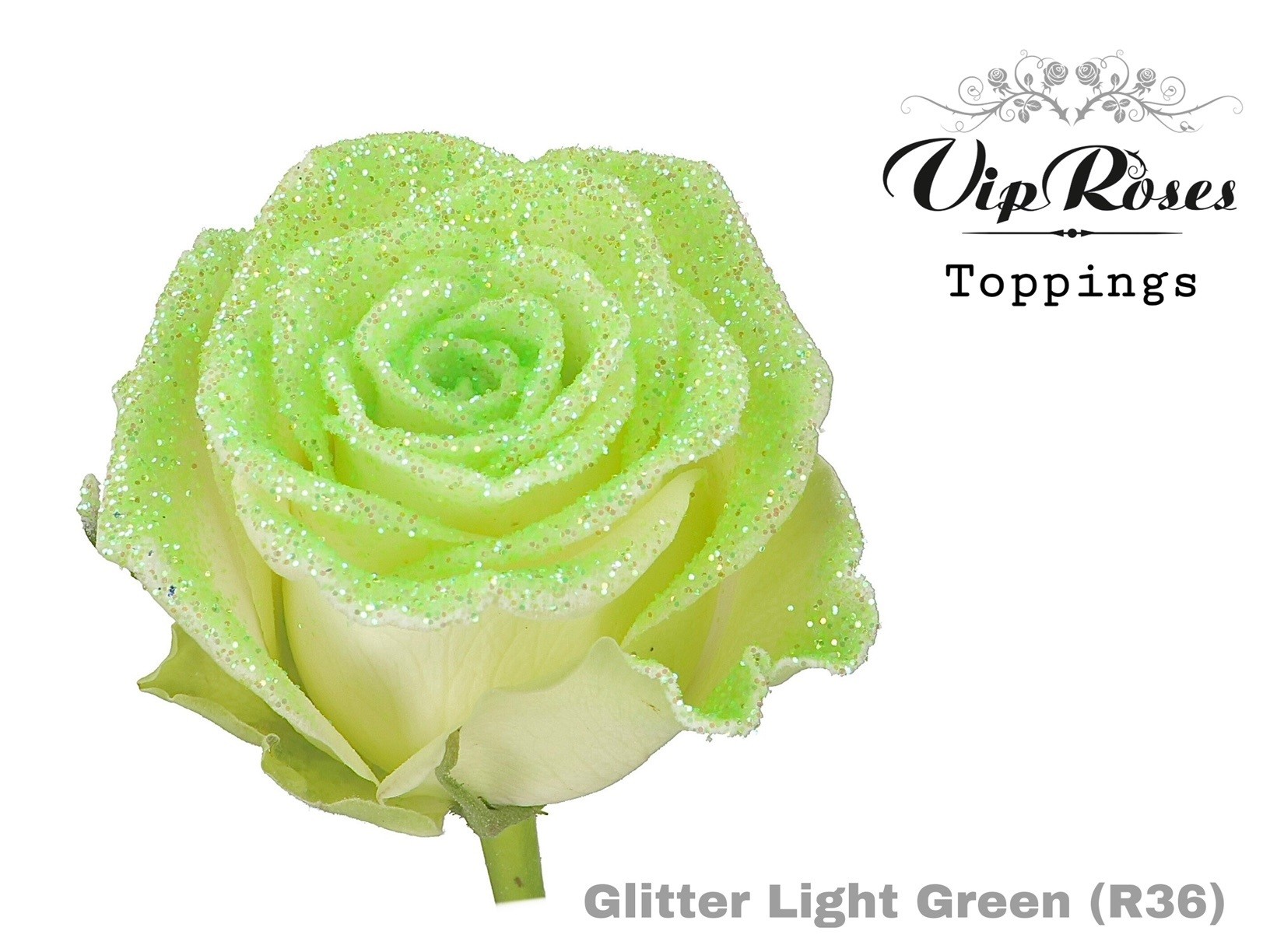 Срезанные цветы оптом Rosa la paint glitter green light от 20шт из Голландии с доставкой по России