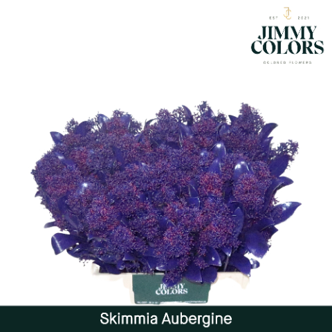 Срезанные цветы оптом Skimmia paint aubergine + glitter от 10шт из Голландии с доставкой по России