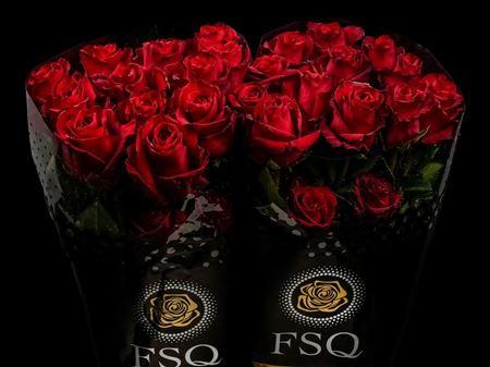 Срезанные цветы оптом Rosa ec explorer от 20шт из Голландии с доставкой по России