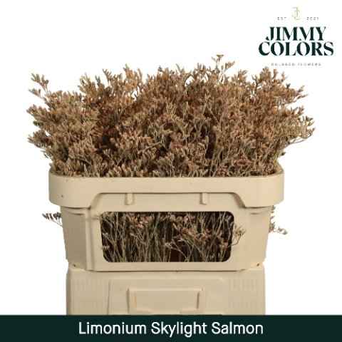 Срезанные цветы оптом Limonium skylight paint salmon от 75шт из Голландии с доставкой по России
