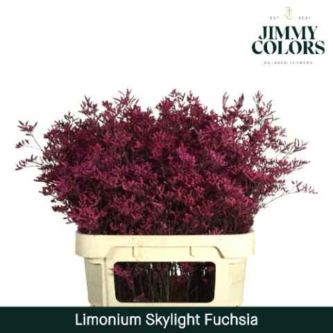 Срезанные цветы оптом Limonium skylight paint fuchsia от 75шт из Голландии с доставкой по России