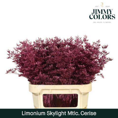 Срезанные цветы оптом Limonium paint metallic erica от 75шт из Голландии с доставкой по России