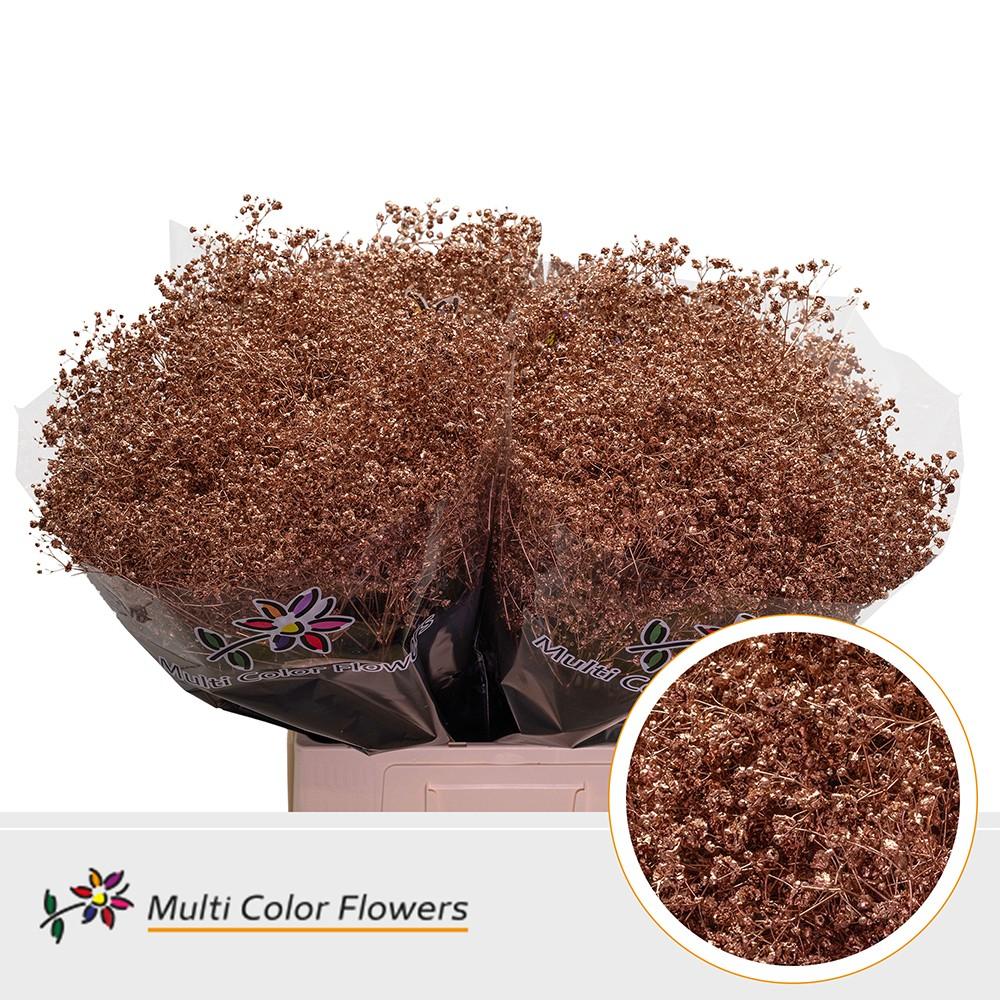 Срезанные цветы оптом Gyps large paint copper от 100шт из Голландии с доставкой по России