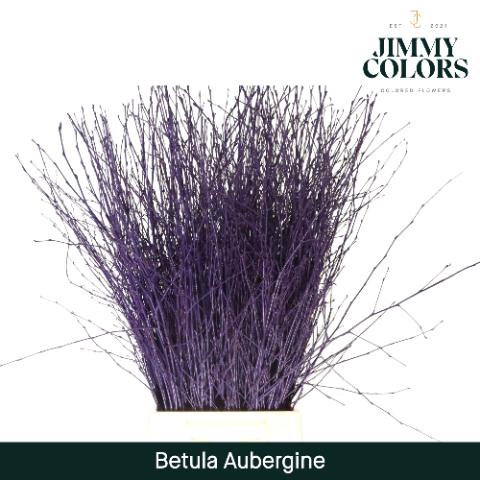 Срезанные цветы оптом Betula paint aubergine от 10шт из Голландии с доставкой по России