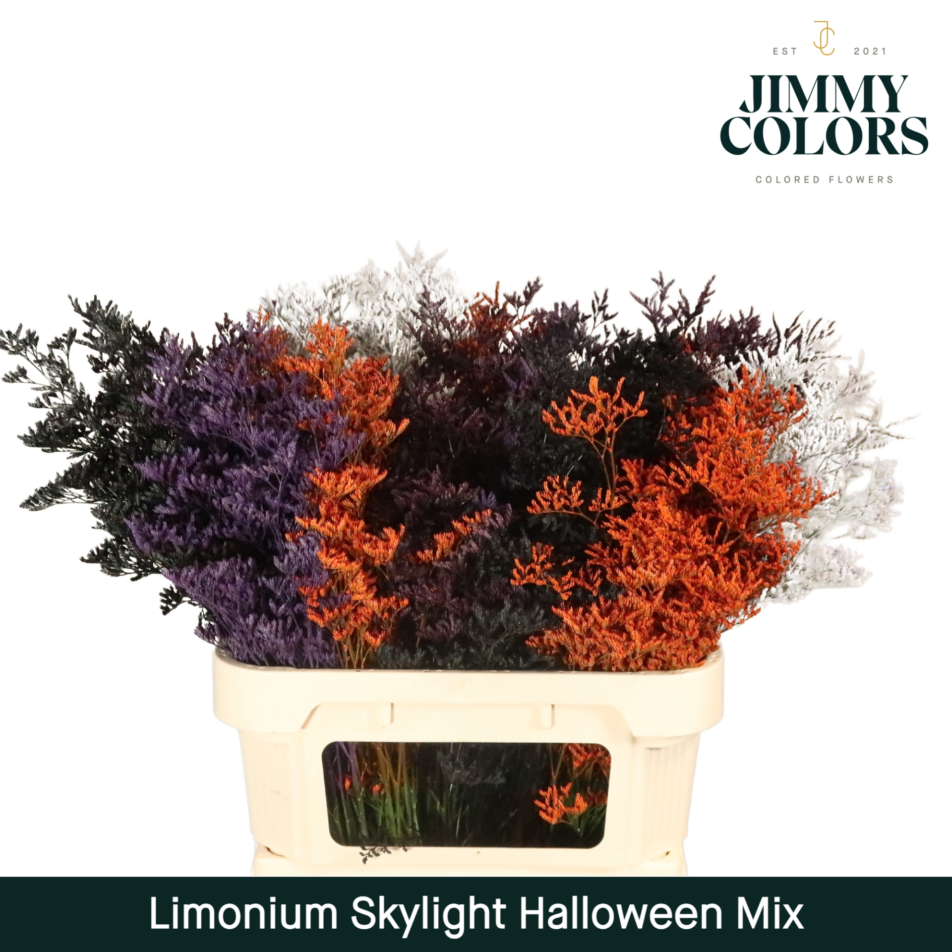 Срезанные цветы оптом Limonium paint mix halloween от 25шт. из Голландии с доставкой по России