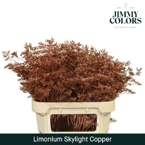 Срезанные цветы оптом Limonium skylight paint copper от 75шт из Голландии с доставкой по России