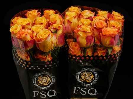 Срезанные цветы оптом Rosa ec silantoi от 40шт из Голландии с доставкой по России