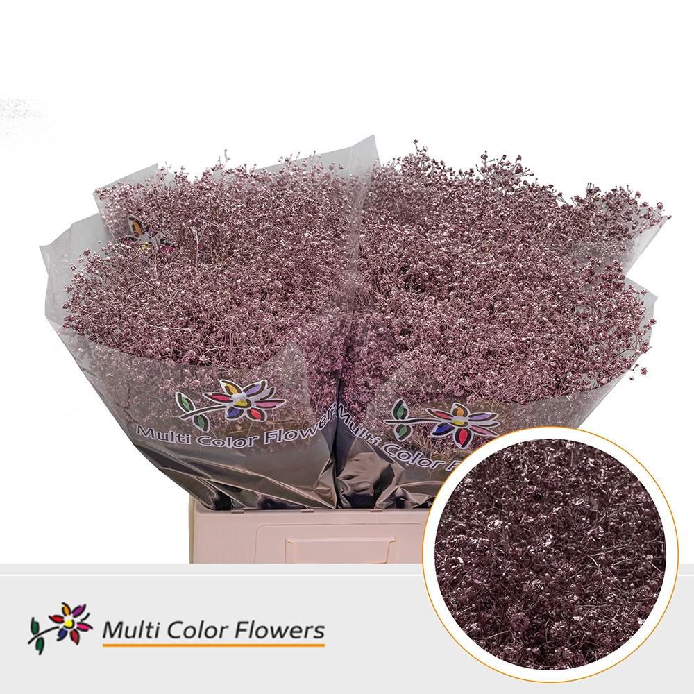 Срезанные цветы оптом Gyps large paint gold от 100шт из Голландии с доставкой по России