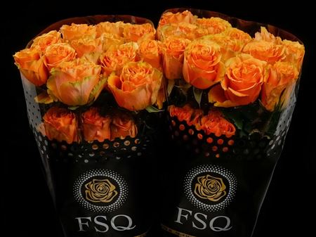 Срезанные цветы оптом Rosa ec peach expression от 40шт из Голландии с доставкой по России