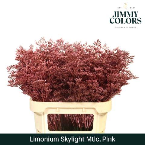 Срезанные цветы оптом Limonium paint metallic pink от 75шт из Голландии с доставкой по России