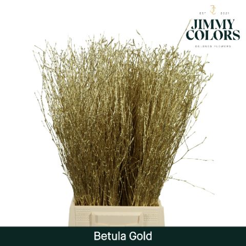 Срезанные цветы оптом Betula paint gold от 20шт из Голландии с доставкой по России