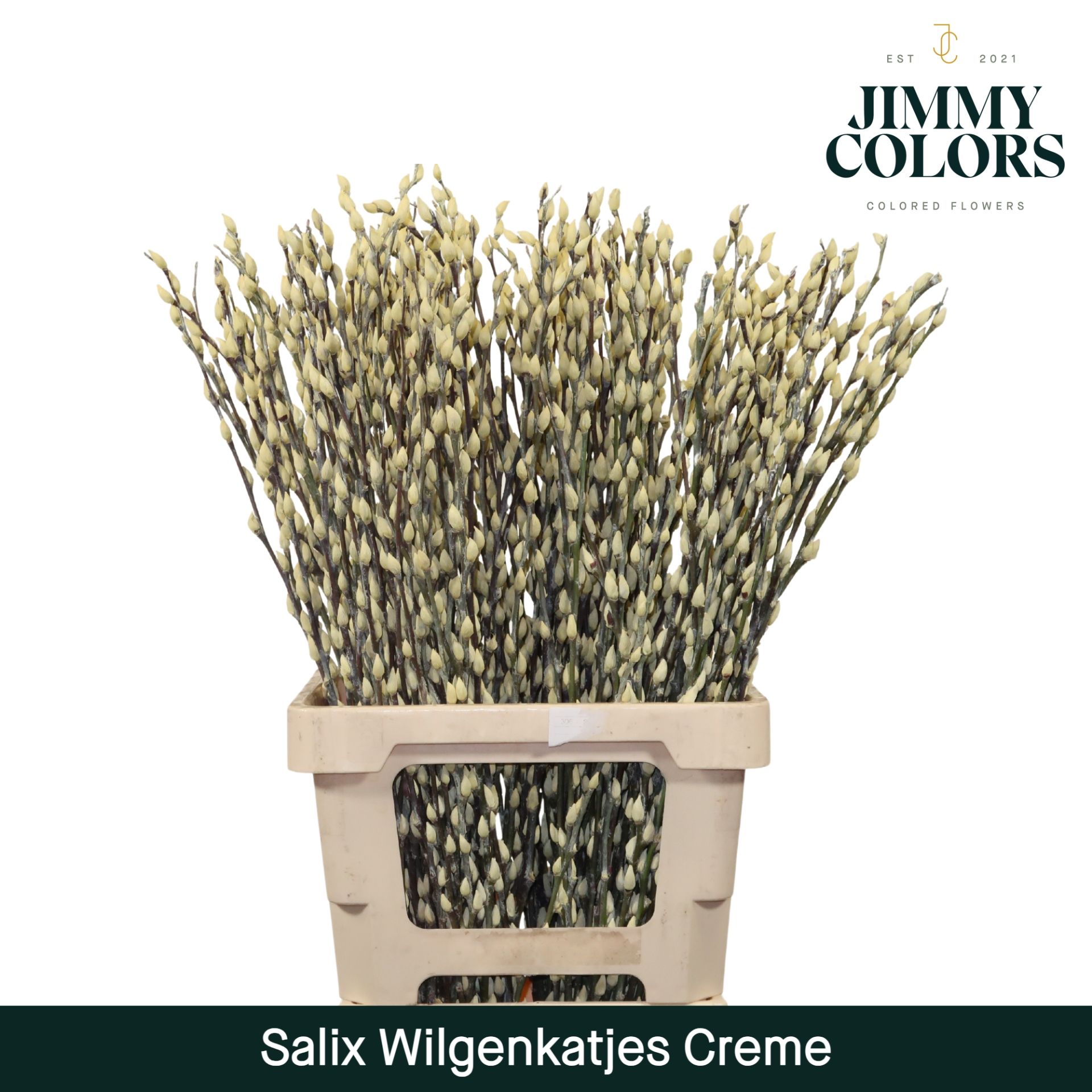 Срезанные цветы оптом Salix paint pussy willow cream от 200шт из Голландии с доставкой по России