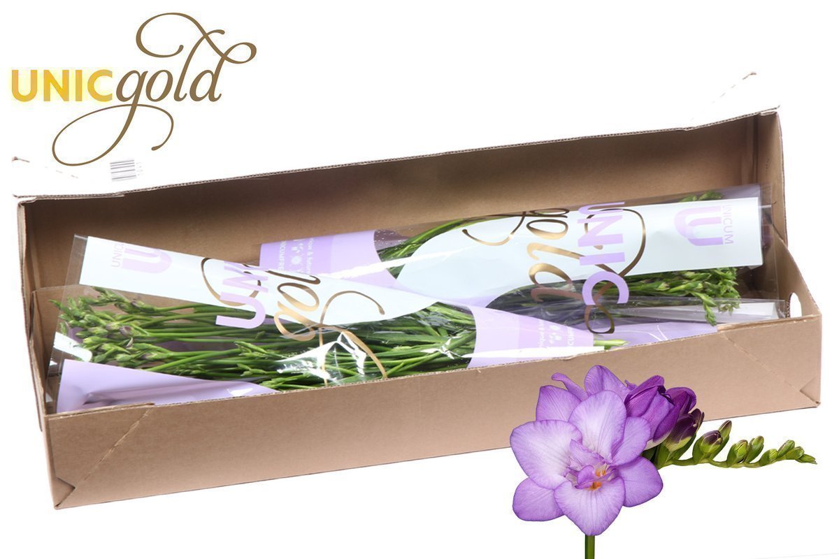 Срезанные цветы оптом Freesia do biscaya от 100шт из Голландии с доставкой по России