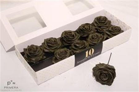 Срезанные цветы оптом Rosa large silk wax xxx от 10шт из Голландии с доставкой по России