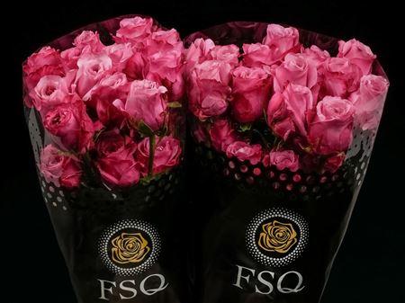 Срезанные цветы оптом Rosa ec all 4 love от 20шт из Голландии с доставкой по России