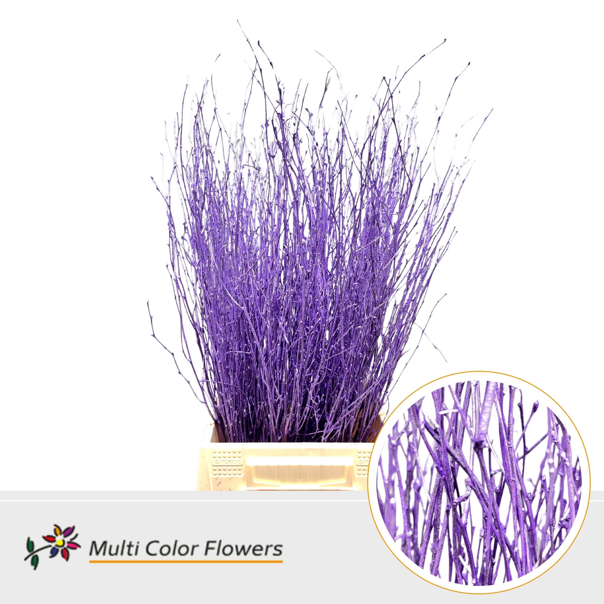 Срезанные цветы оптом Betula paint metallic milka от 100шт из Голландии с доставкой по России