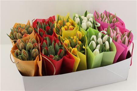 Срезанные цветы оптом Boeket Tulp In Tas (diversen) от 10шт из Голландии с доставкой по России