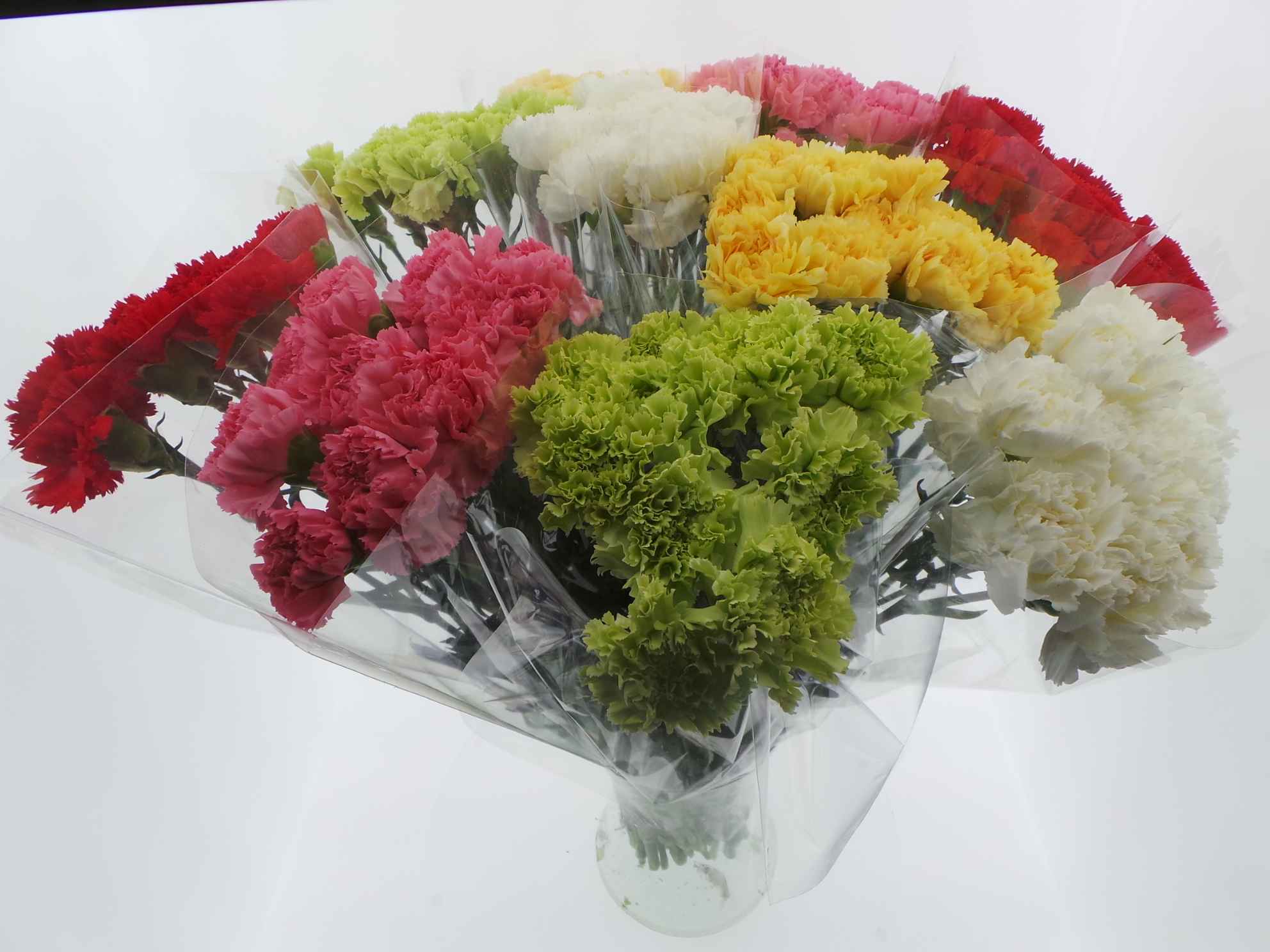 Срезанные цветы оптом Bouquet mono anjers x10 mix 60cm от 10шт из Голландии с доставкой по России