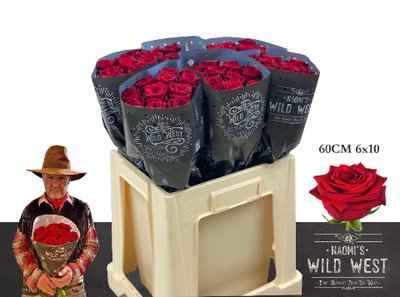 Срезанные цветы оптом Rosa la red naomi! Wild West от 60шт из Голландии с доставкой по России