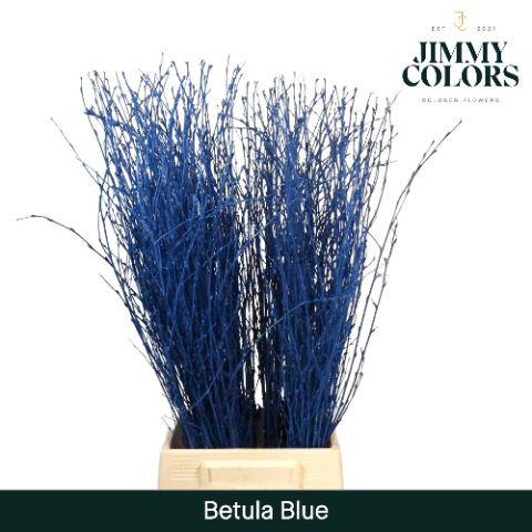 Срезанные цветы оптом Betula paint blue от 10шт из Голландии с доставкой по России