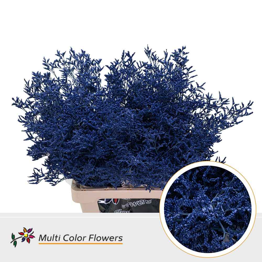 Срезанные цветы оптом Limonium paint violet от 50шт из Голландии с доставкой по России