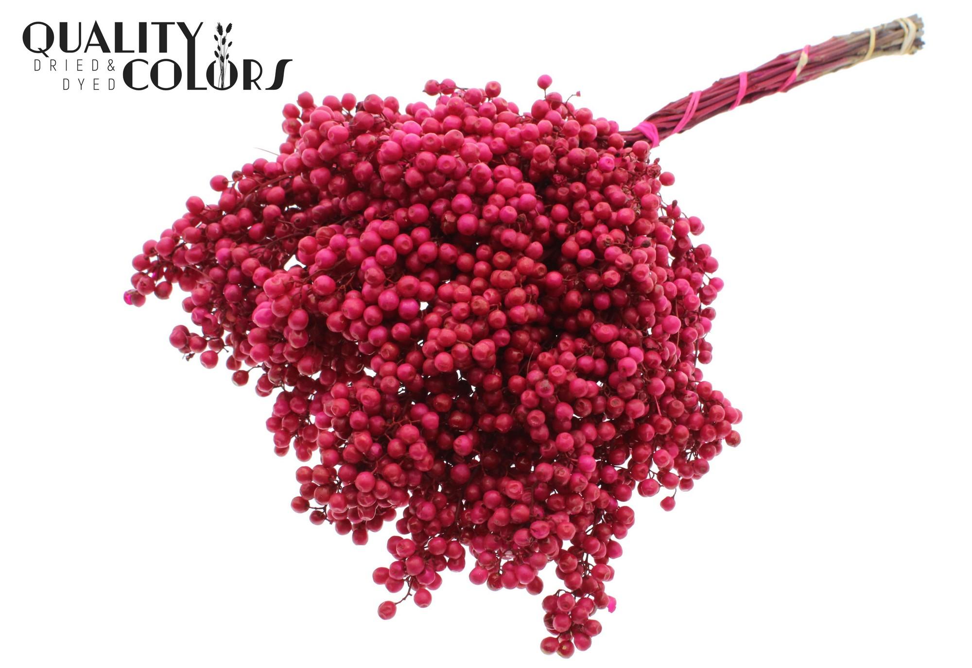 Срезанные цветы оптом Pepperberries per bunch in poly Cerise от 5шт из Голландии с доставкой по России