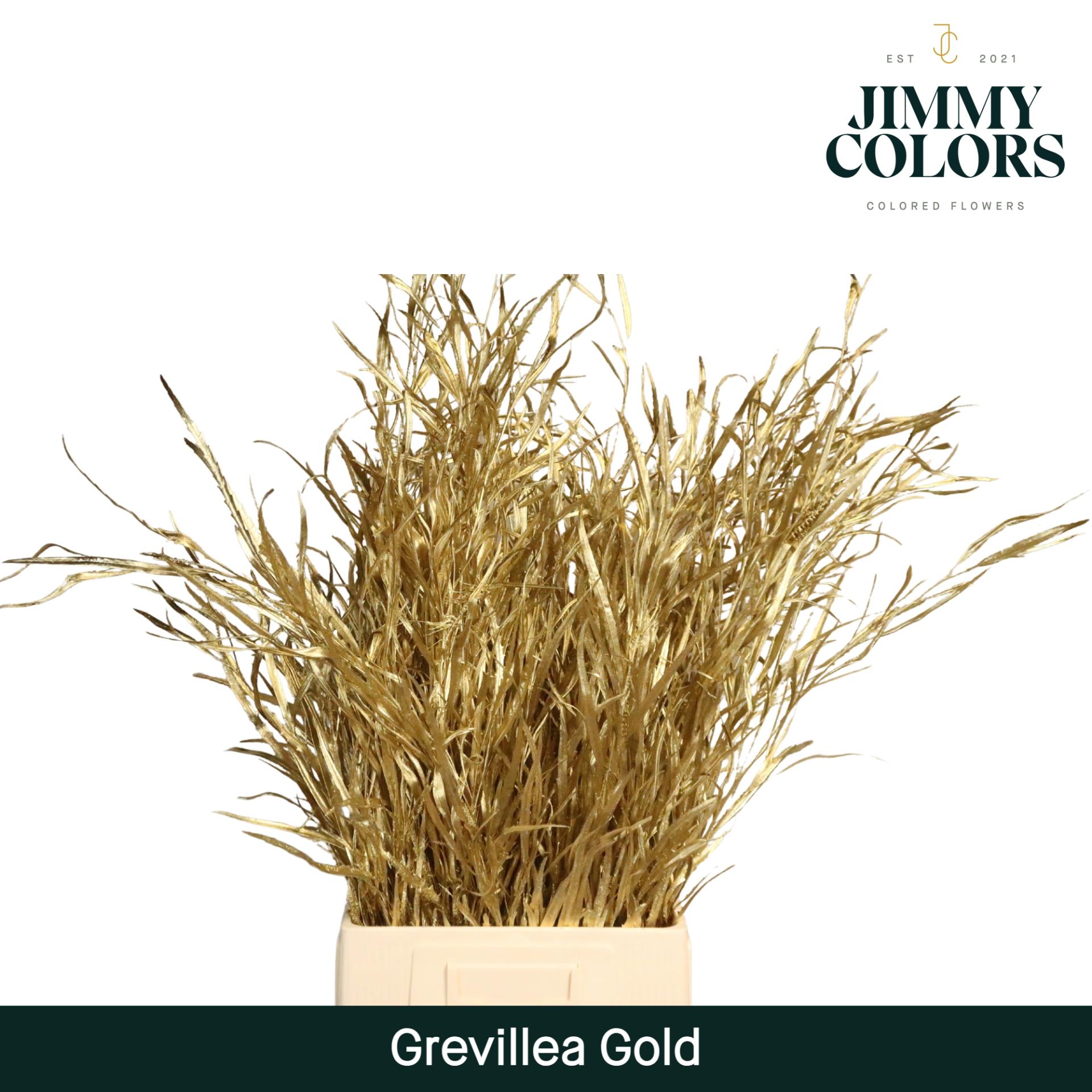 Срезанные цветы оптом Grevillea paint gold от 10шт из Голландии с доставкой по России