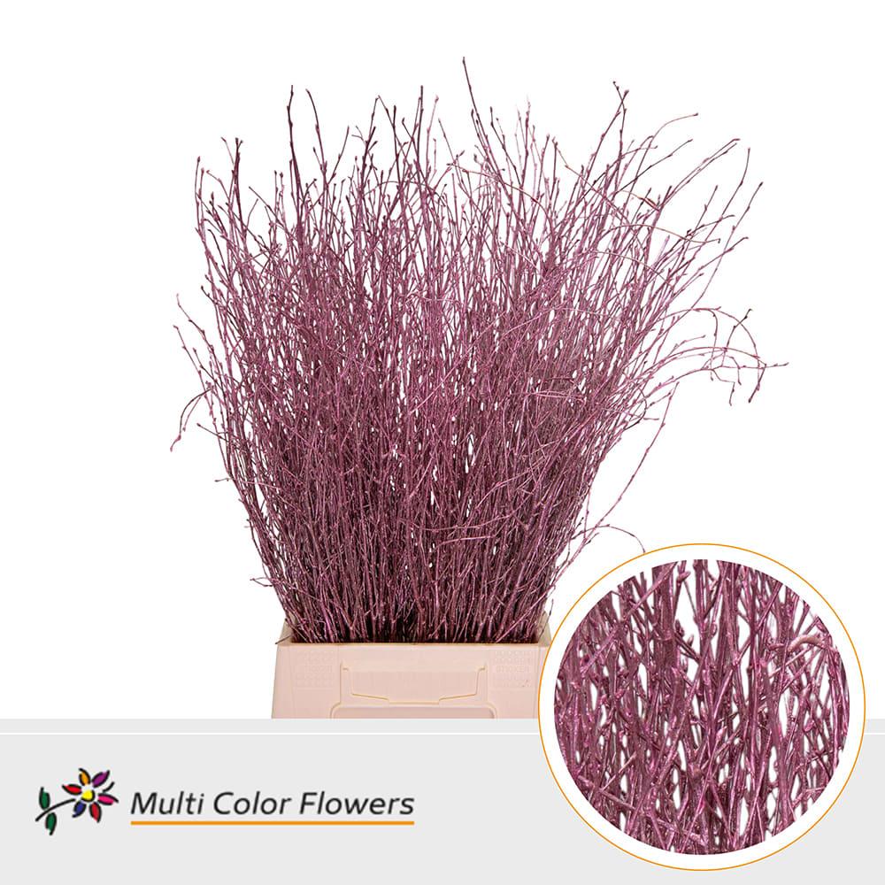 Срезанные цветы оптом Betula paint metallic pink от 100шт из Голландии с доставкой по России