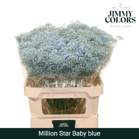 Срезанные цветы оптом Gyps fine paint blue light от 50шт из Голландии с доставкой по России
